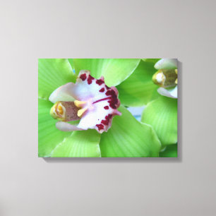 Impresión de lienzo de orquídea verde