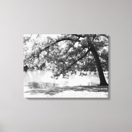 Impresión de lienzo de paisaje en blanco y negro