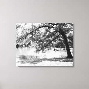 Impresión de lienzo de paisaje en blanco y negro