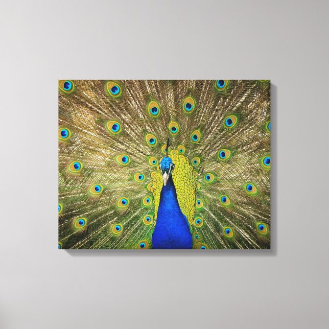 Impresión de lienzo de pavo real (Anverso)