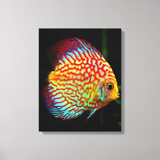Impresión de lienzo de peces de acuario Discus (Anverso)