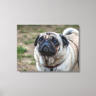 Impresión de lienzo de retrato de perro de pug