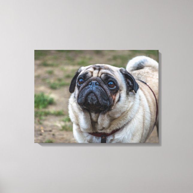Impresión de lienzo de retrato de perro de pug (Anverso)