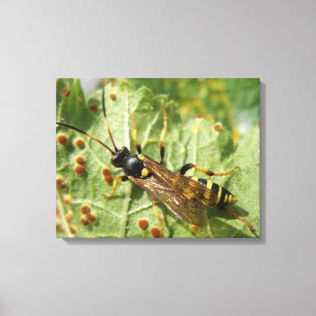 Impresión de lienzo de sobrevuelo (Anverso)