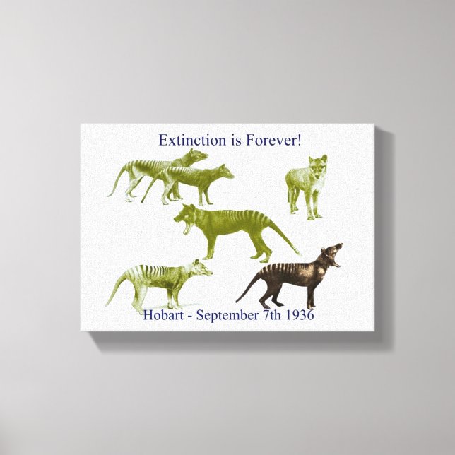 Impresión de lienzo de tilacino de tigre de Tasman (Anverso)