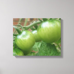 Impresión de lienzo de tomates verdes