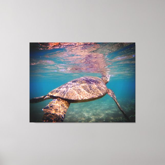 Impresión de lienzo de tortuga de mar verde (Anverso)