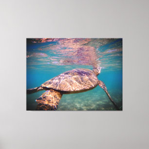 Impresión de lienzo de tortuga de mar verde
