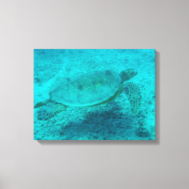 Impresión de lienzo de tortuga verde hawaiana
