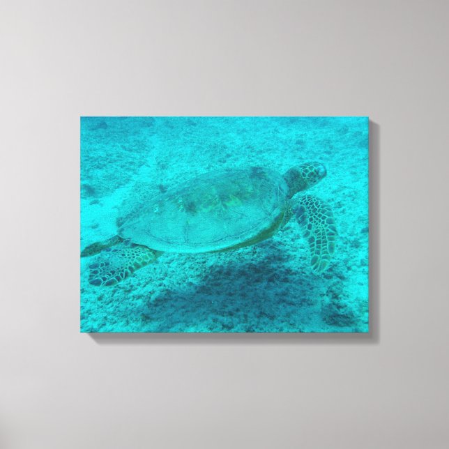 Impresión de lienzo de tortuga verde hawaiana (Anverso)