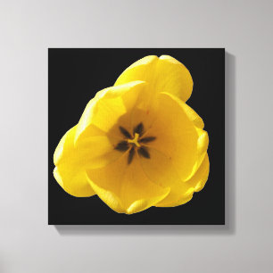 Impresión de lienzo de tulipán amarillo