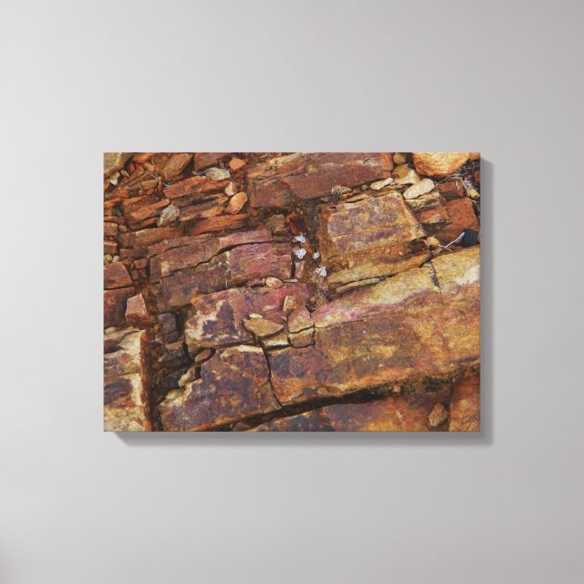 impresión de lienzo de visión rocosa (Anverso)