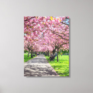 Impresión de lienzo de vista de flores de cerezo