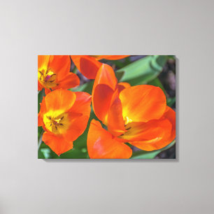 Impresión de lienzo de vista de flores naranja bri
