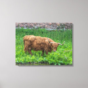 Impresión de lienzo de vista de vaca en Highland