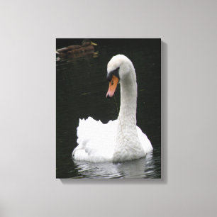 Impresión de lienzo del cisne blanco