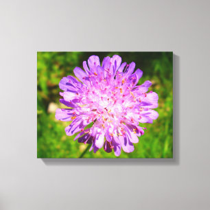 Impresión de lienzo en campo