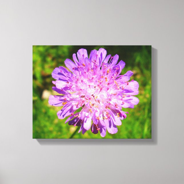 Impresión de lienzo en campo (Anverso)