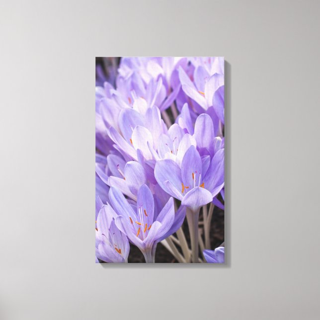 Impresión de lienzo envuelta en crocus (Anverso)