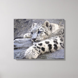 Impresión de lienzo envuelto