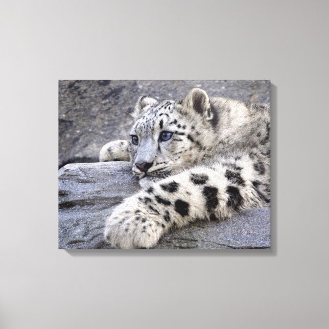 Impresión de lienzo envuelto (Anverso)