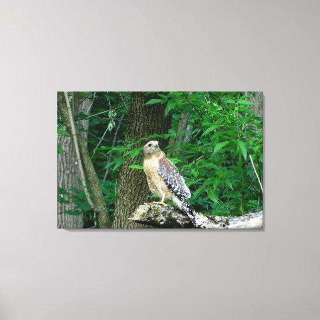 Impresión de lienzo envuelto con hombro rojo (Anverso)