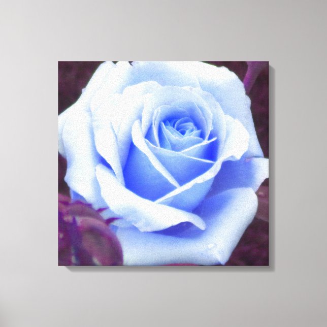 Impresión de lienzo envuelto con Rosa azul bebé (Anverso)
