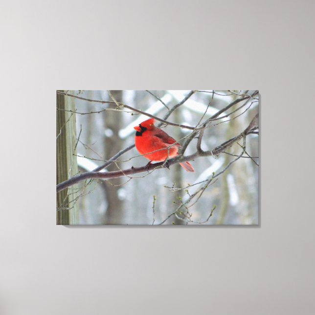 Impresión de lienzo envuelto de cardenal rojo aleg (Anverso)