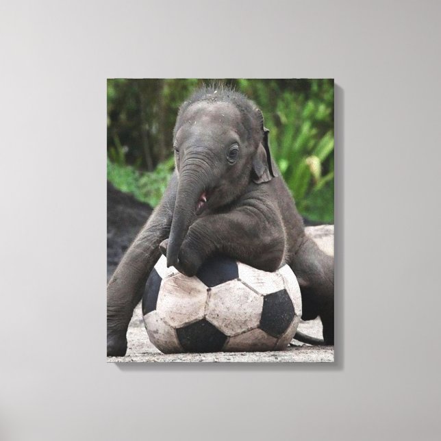 Impresión de lienzo envuelto de Elephant Soccer (Anverso)