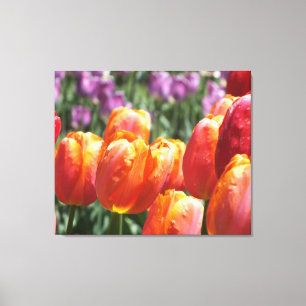 Impresión de lienzo envuelto de tulipanes naranjas