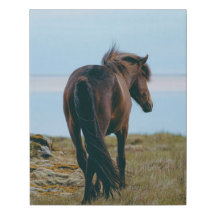 Impresión de lienzo envuelto en falso - caballo es