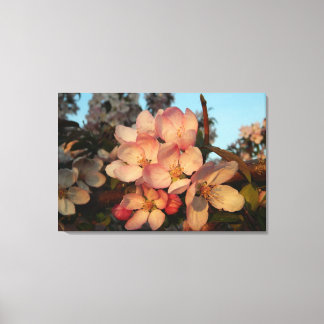 Impresión de lienzo envuelto en floros de Apple ro