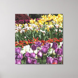 Impresión de lienzo envuelto en jardín de tulipán