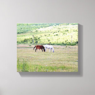 Impresión de lienzo envuelto, familia de caballos