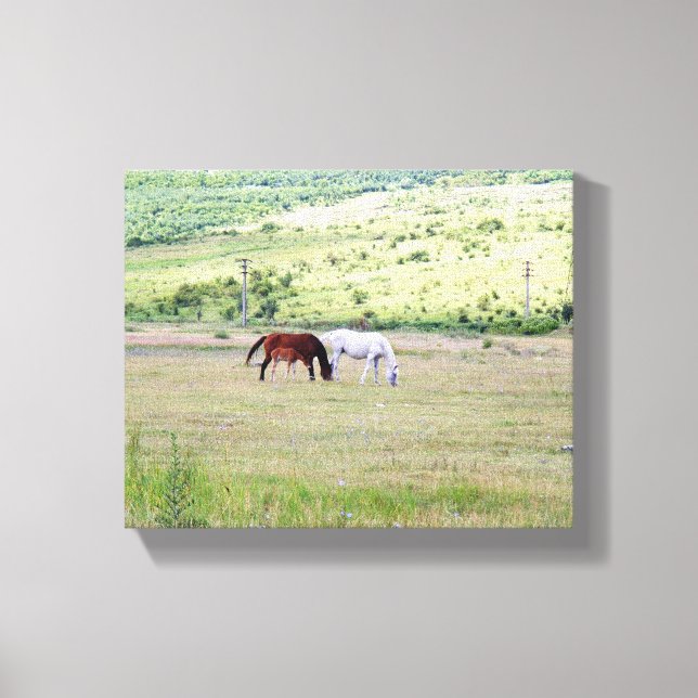 Impresión de lienzo envuelto, familia de caballos (Anverso)