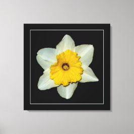 Impresión de lienzo envuelto 'Serie de narcisos, i