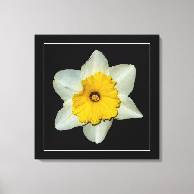 Impresión de lienzo envuelto 'Serie de narcisos, i (Anverso)