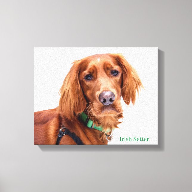 Impresión de lienzo estirado (Anverso)