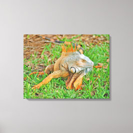 Impresión de lienzo estirado