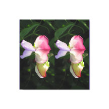 Impresión de lienzo estirado