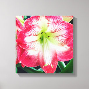 Impresión de lienzo estirado