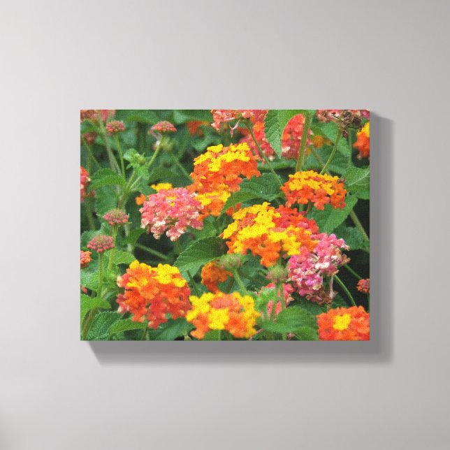 Impresión de lienzo estirado con flores naranjas y (Anverso)