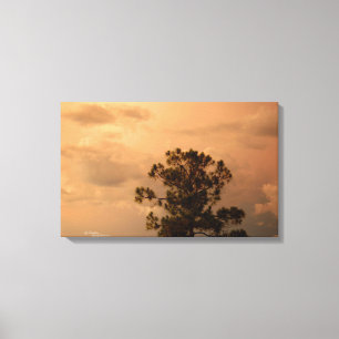 Impresión de lienzo estirado de árbol de pino