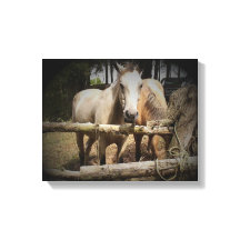Impresión de lienzo estirado de caballo 1