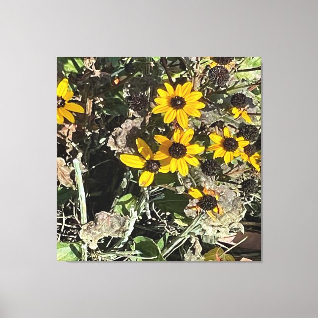 Impresión de lienzo estirado de flores amarillas d (Anverso)