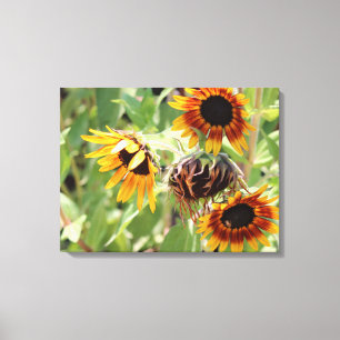 Impresión de lienzo estirado de girasol