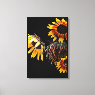 Impresión de lienzo estirado de girasol