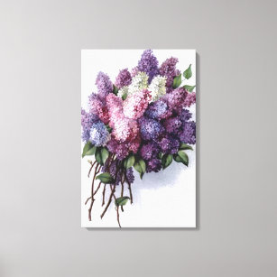 Impresión de lienzo estirado de Lilac vintage