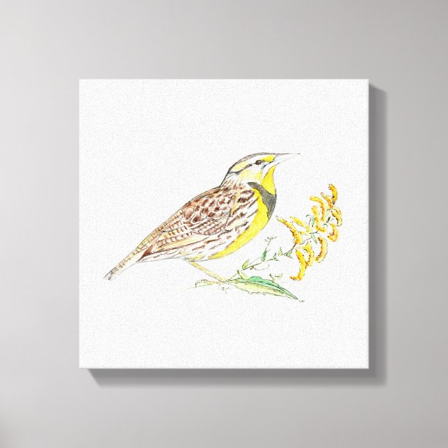 Impresión de lienzo estirado de Nebraska (Anverso)