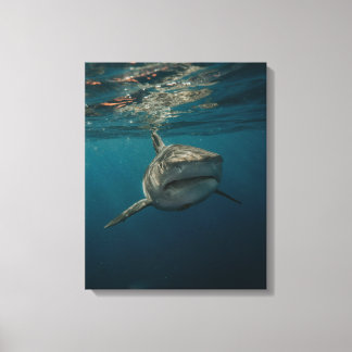 Impresión de lienzo estirado de Ocean Predator